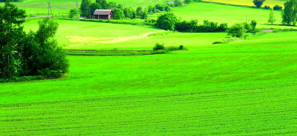 lAxǖ̌ǂTIIx_[ƔԂ̐E