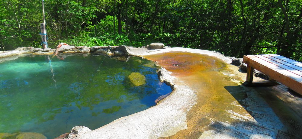 �k�C�����P�ό��̌��ǂ���T�I�I���͂̊Ԍ����F�z�̑�A�V�R����