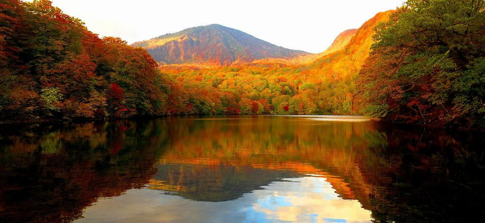 X\ac̔鋫Eӎ̈uԏvŌႢ̍gt