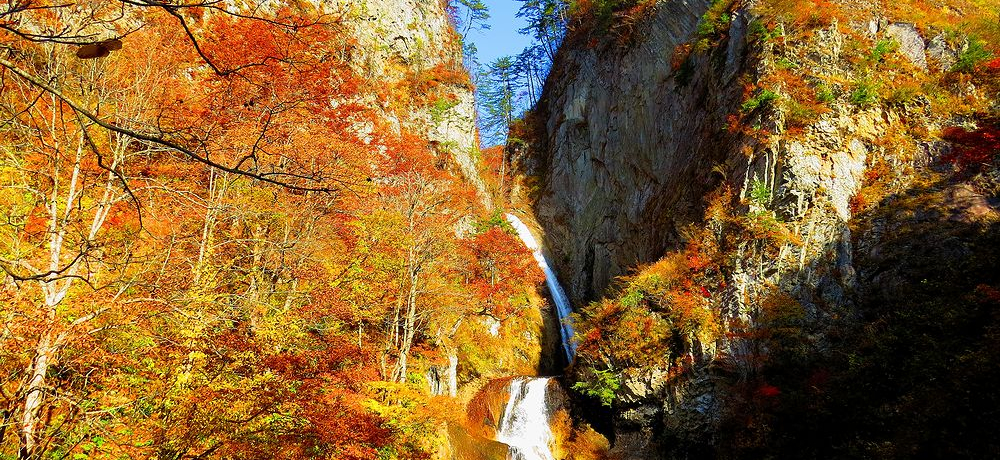 Xȕ̑v̍gt͉18kml