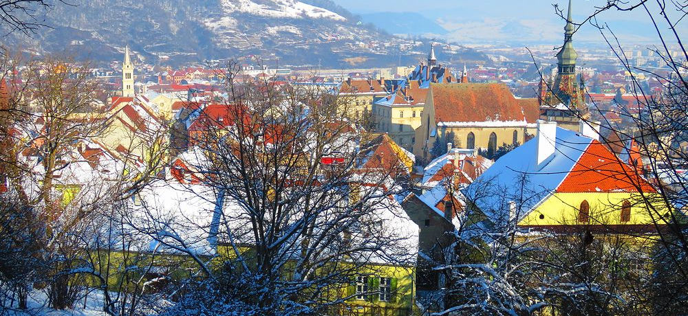 [}jAEEYVMVA̎vƎR㋳̐i