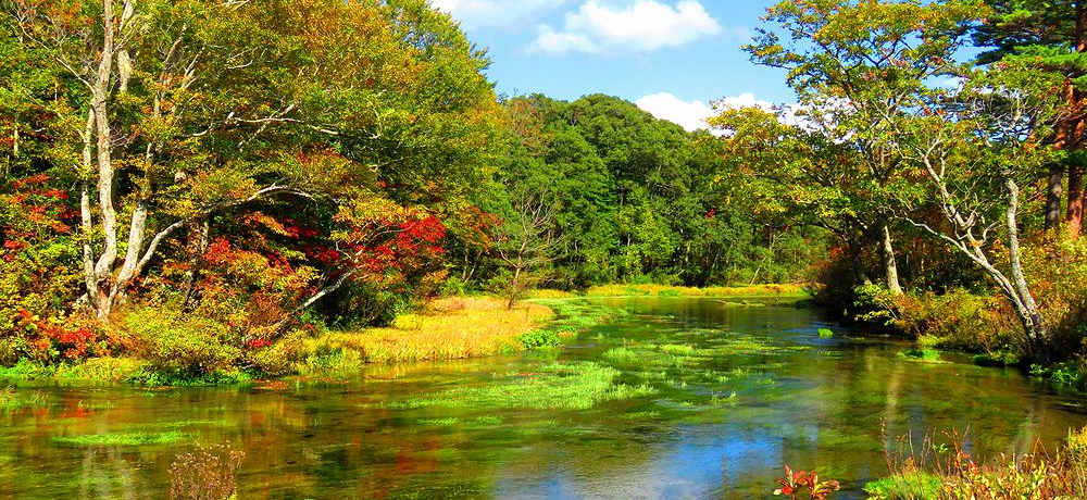 O_HH̐Xό͓bcc㕽̐iI