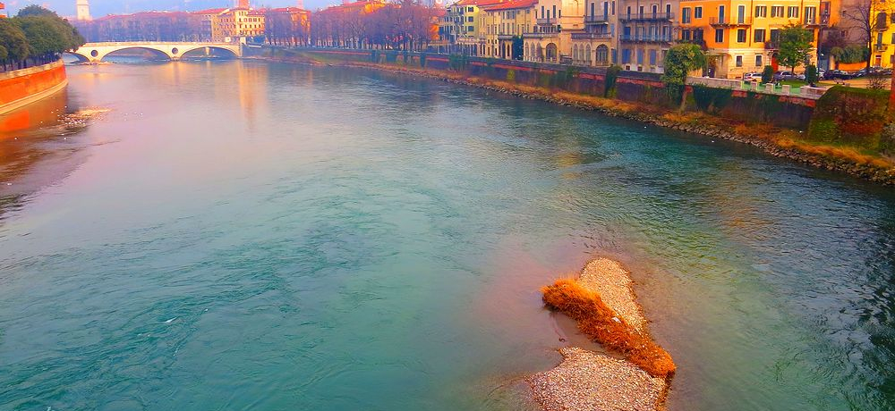 C^A̐EYEx[i̐iƃXJWF̖