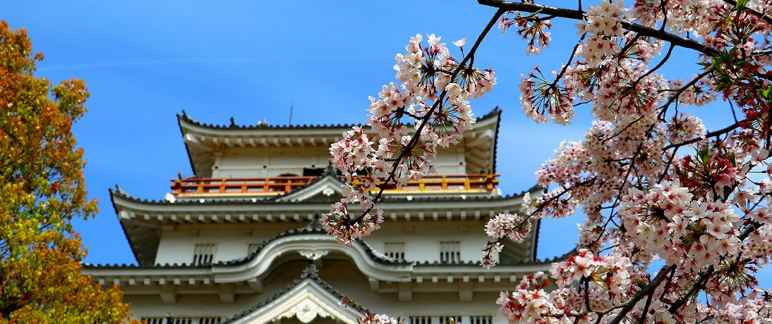 t̍Lό͍̕RցIΊ_Ƒۂ̔Ȃa̋