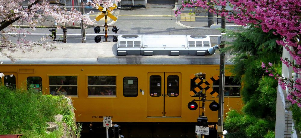 t̔EÎ߂R[XցI⓹ƍy