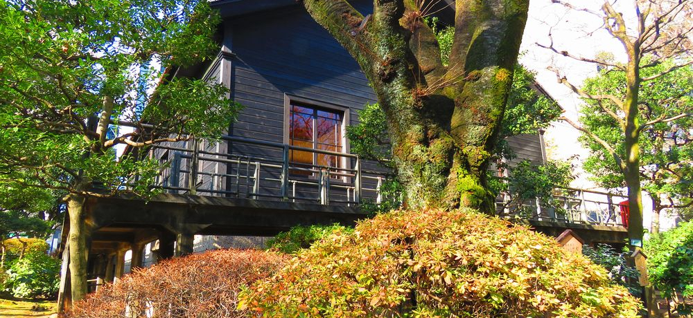 ԍT؍߂ŕKII푈uT؊Tv叫̋@