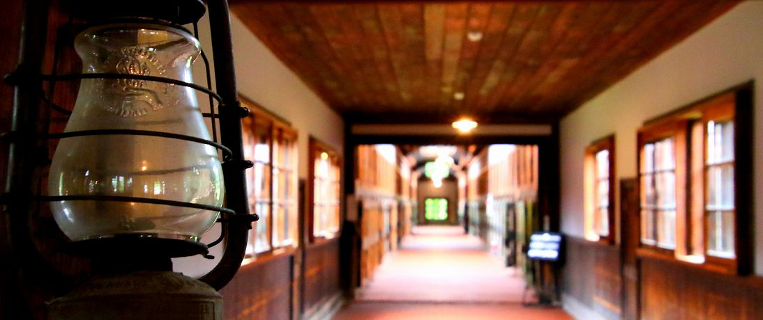 �ό��ł���{���̌Y�����I�u�����ٖԑ��č��v�ő̊�������j