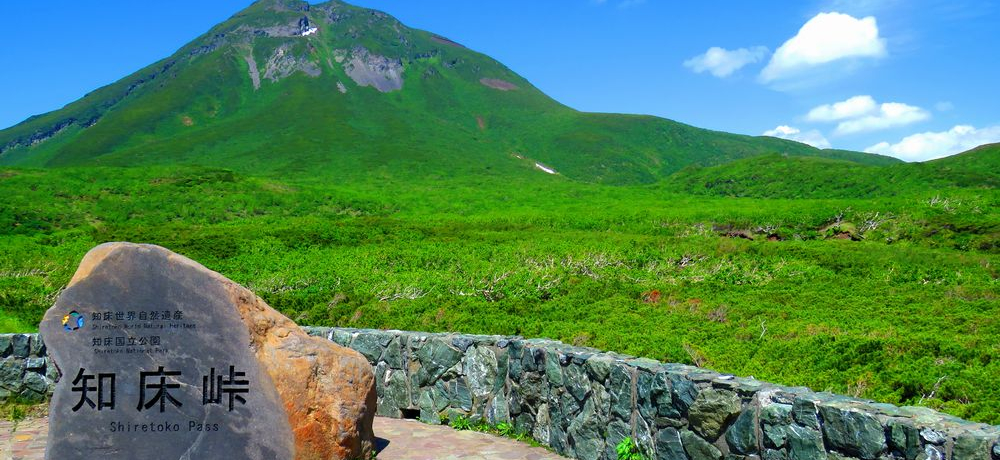 kC̐EYumv̐i͐Ɨ΂̑sȔI