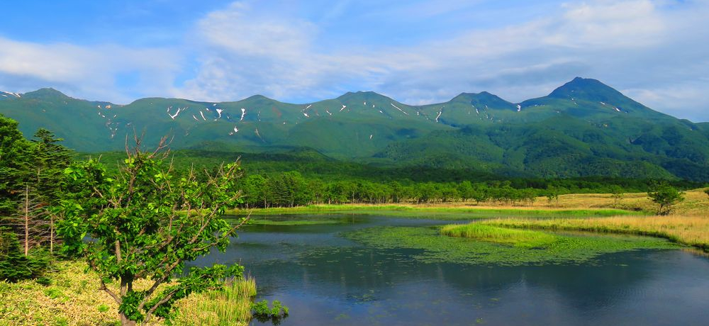 �k�C�����E��Y�u�m���܌΁v�ό��Ŗ����̍��˖ؓ�����̔������I