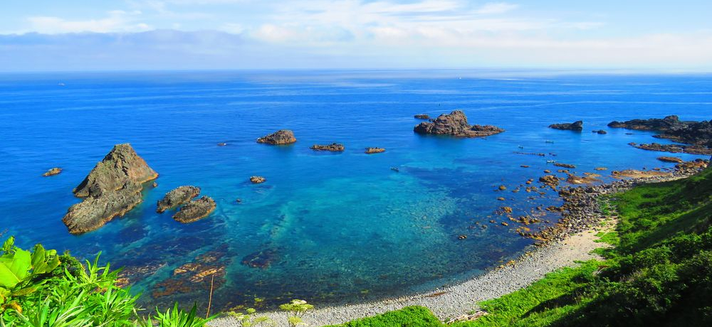 ܂łiIuϒO ӊC݁vŐϒOu[̑厩R