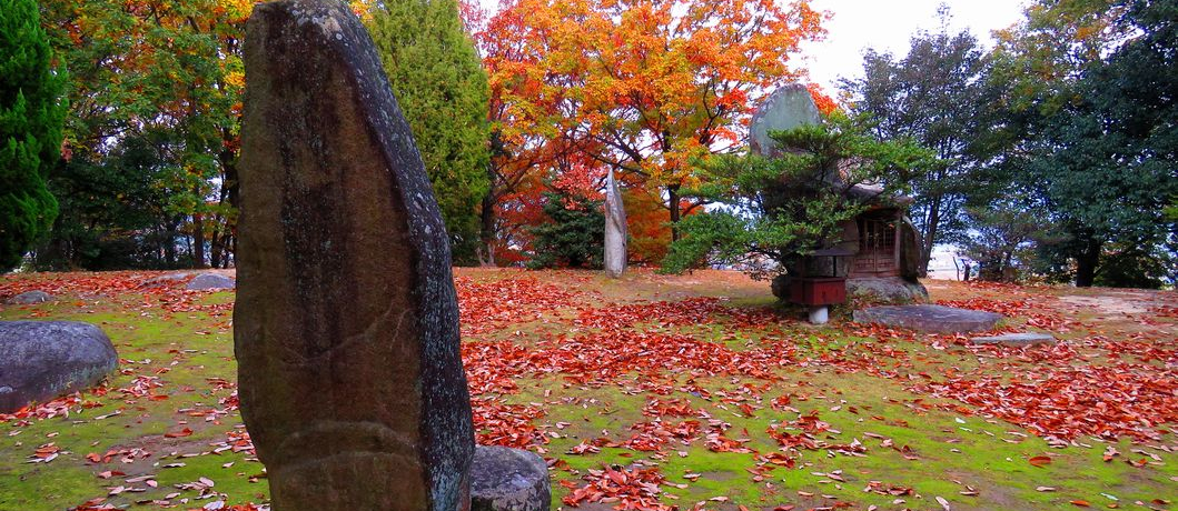 O~̃[c!?Rq~u|zՁvŗjƏH̎U