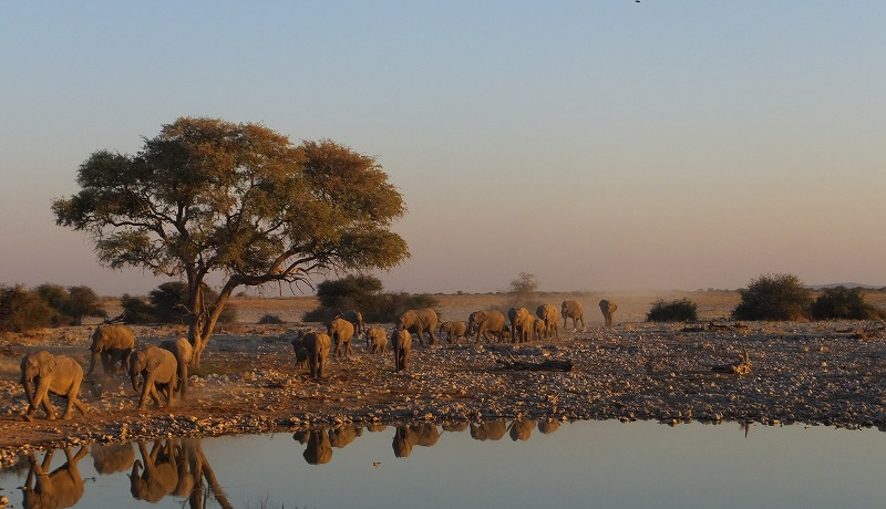 i~rÃTt@̓GgV̏h{݂ŉKɁI