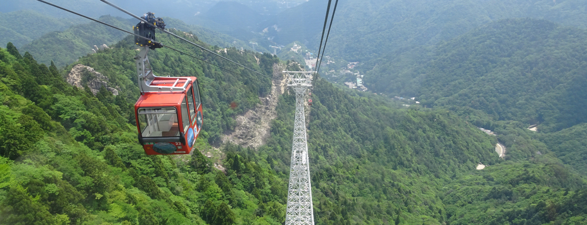 Odݏx̘[uze̖{vŐiƕ]̉Ȃn