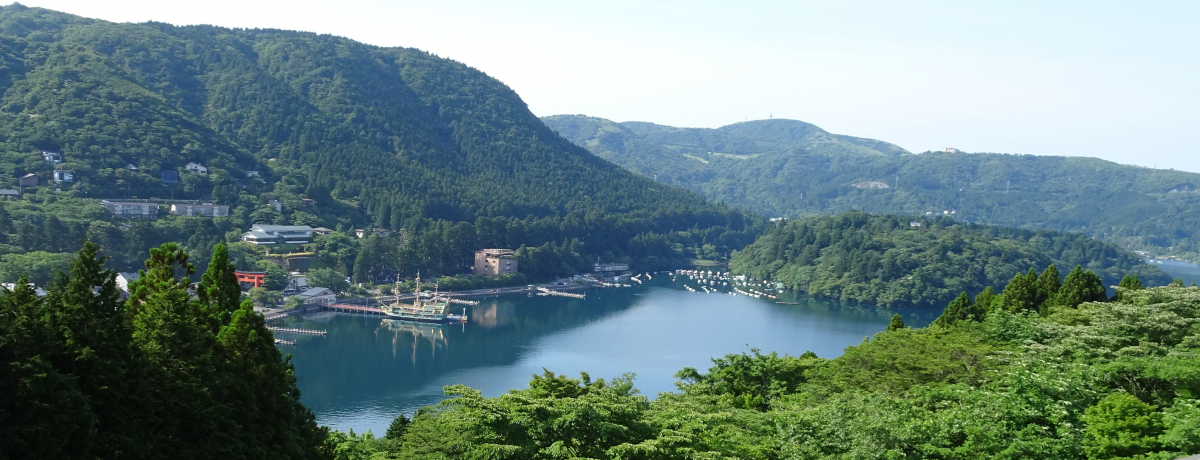 _Ђ֓kTIm΂̐iƃ_΂̏huaSLv