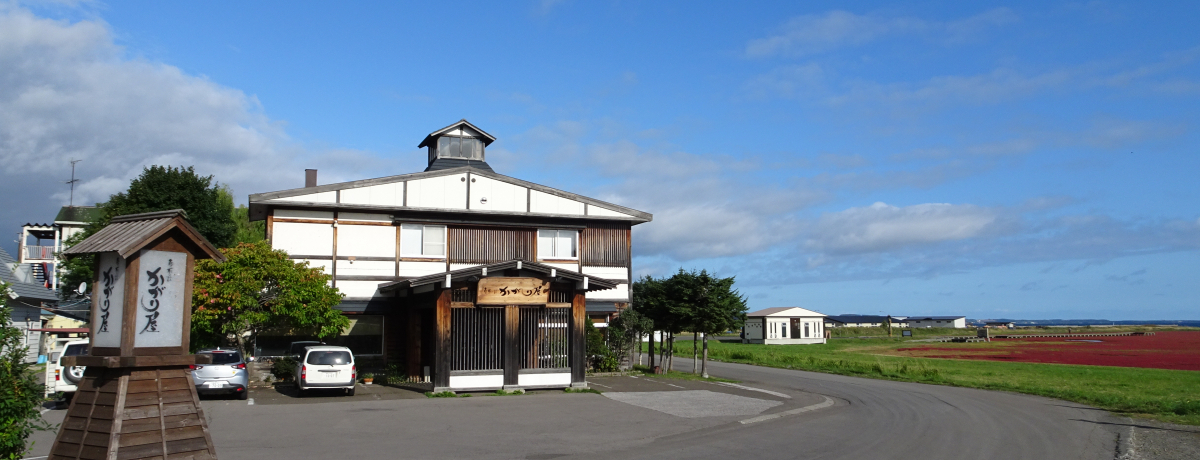 ԑu\̑ 艮vIz[cN̂yɐHׂh