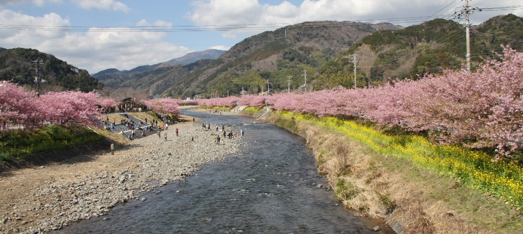 �t���ǂ�I�͒Í��ƍ؂̉Ԃ��イ���񂪍ʂ�͒ÂƓ�ɓ������闷