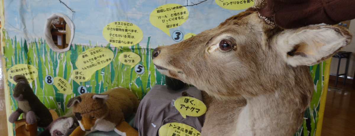 ~̐yI̓y߂锪xRӂꂠZ^[