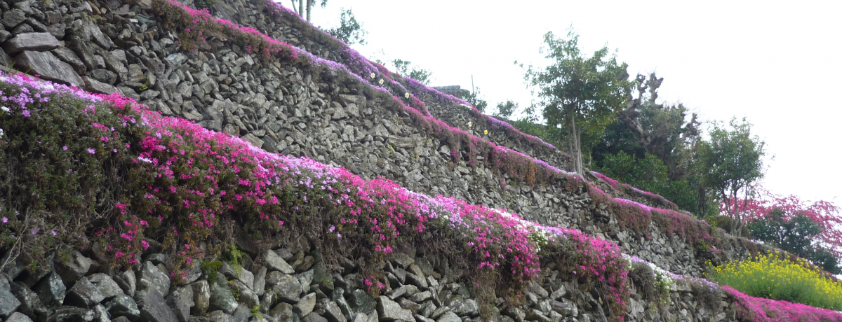 �����̃}�`���s�`���H�I�ɂق�̗��P�O�O�I�ɑI�΂ꂽ���J�̐ΐς�