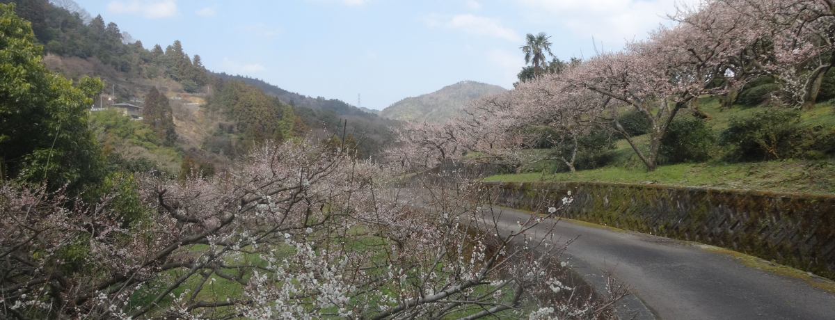 t͔~IA߁`~ɏoIl_R