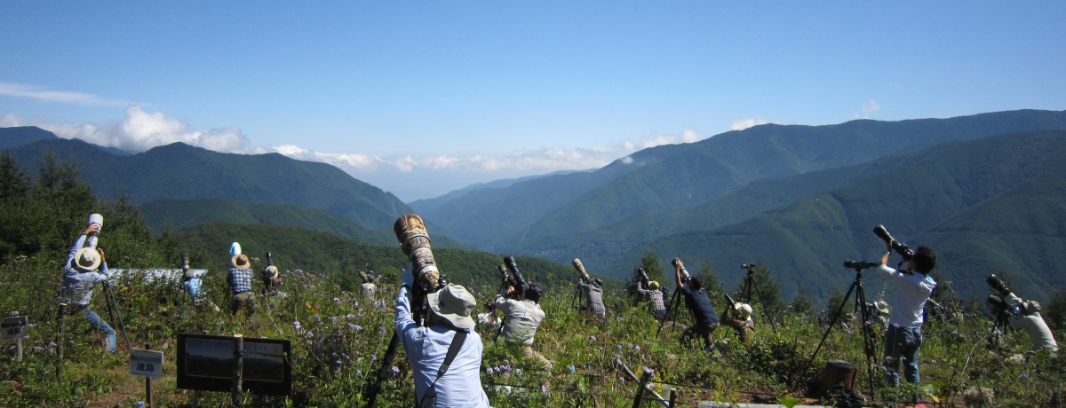 o[hEHb`[̐nI쌧EŃ^JEHb`