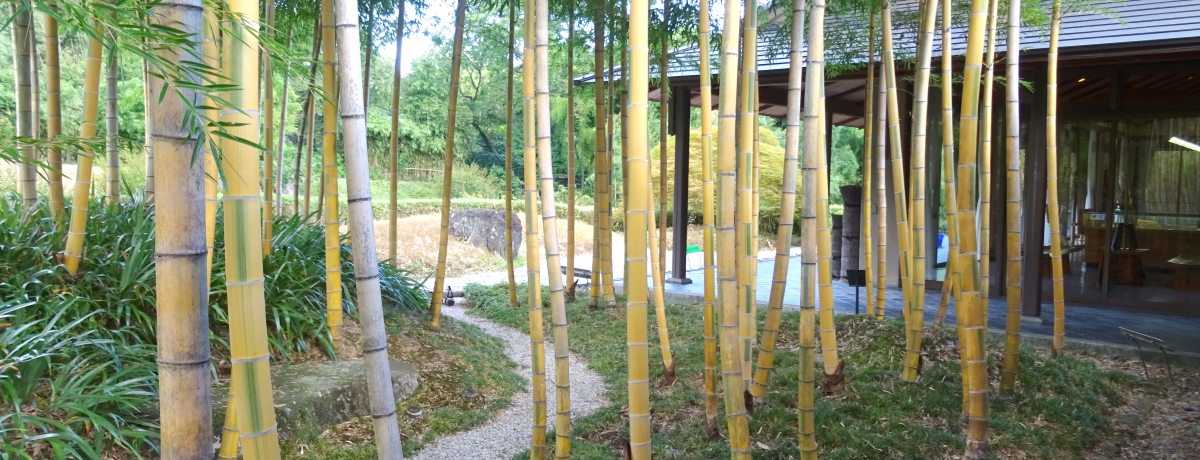 Ȓ|AȒ|!?sEP̒|ьŒ|m闷