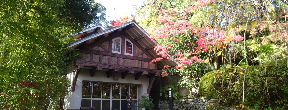 �����E�뉀�t�@���K���I���s�R�{�̐삪�o��u��R�聕�����v