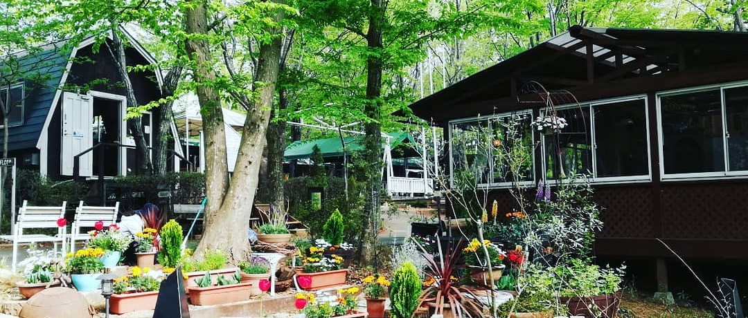 ���΂̂������L�����v��u�t�H���e�[�k�̐X�v�͏��S�҂����S�I