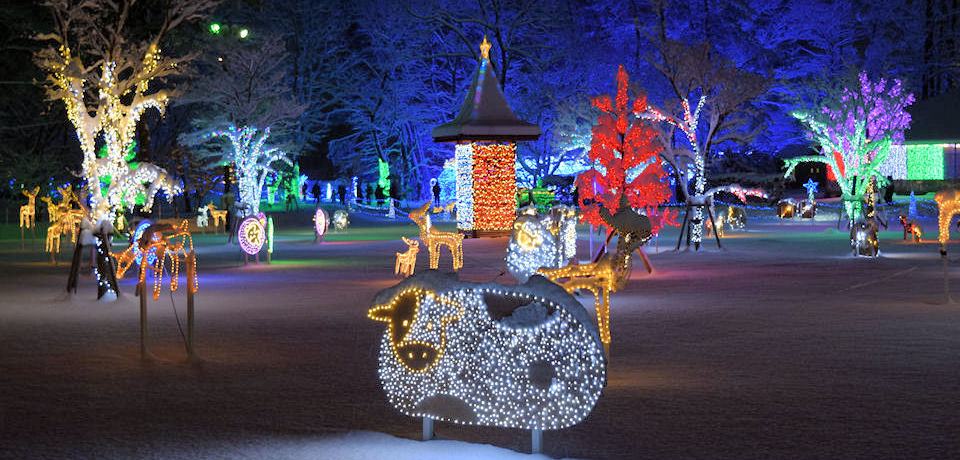 EEB^[C~l[Vu͔_̖vŃ}`bNȖ̂ЂƂƂ