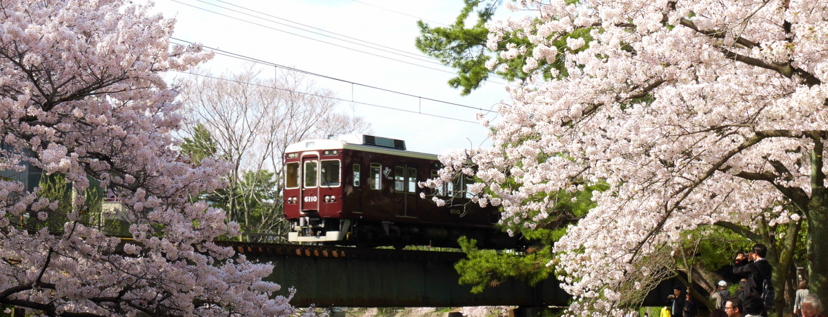 dԂƂ̋߂ȁI_Ԑ̍͐{ugvցI