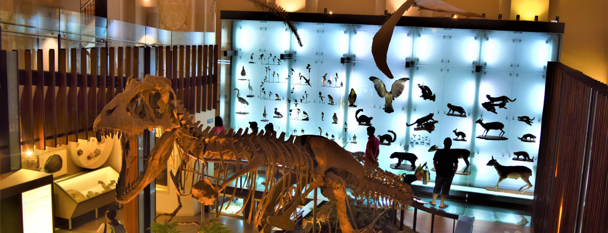 sƋ̃R{Hqly߂kuynsWفv