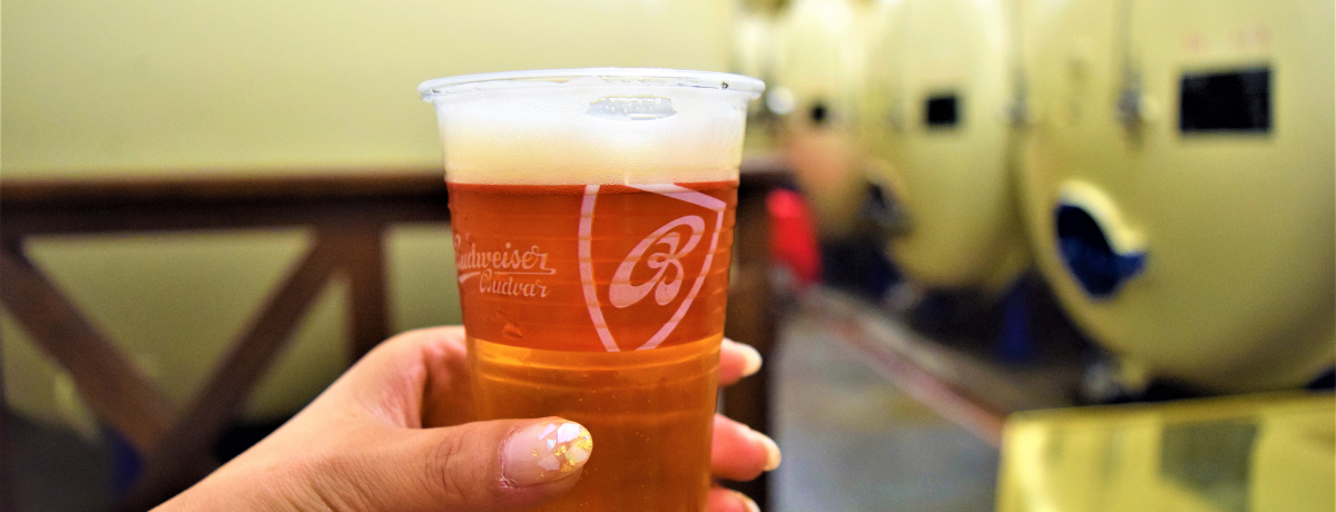 {̃ohCU[̓`FRɁIr[D̓uh@C[H