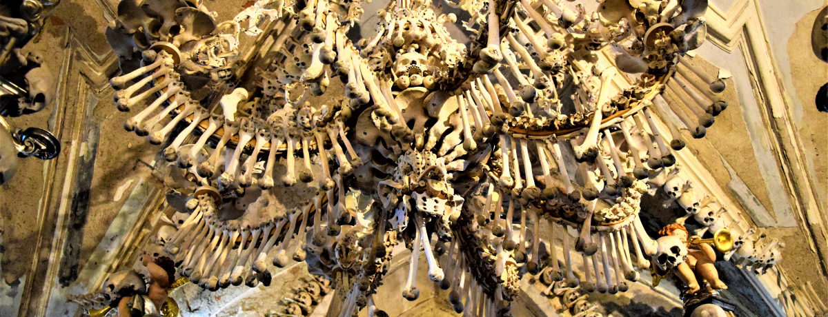 vn1ԁI[Ƒ吹̊XuNgi[EzvŊX