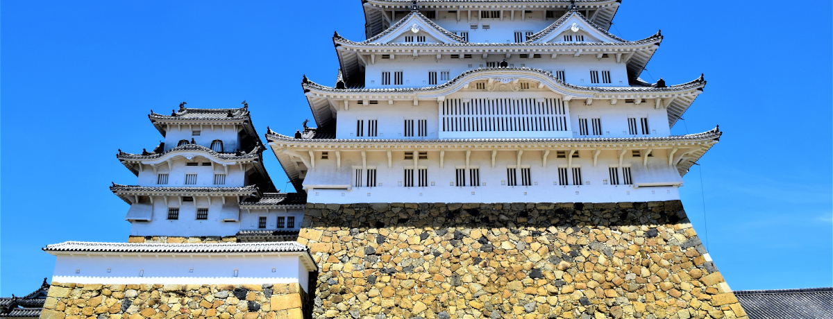 �V��t��������Ȃ��I�m��Βm��قǖʔ������E��Y�u�P�H��v