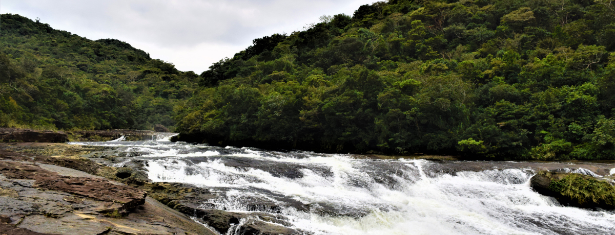 �_��I�ȃp���[���`���[�W�I���\���u�Y����v�ł���y�W�����O���̌�