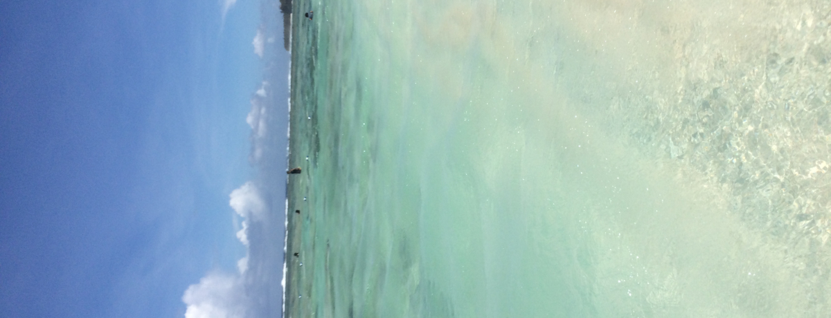 錊r[`uRRp[K[fvŃOA܂DɂȂ