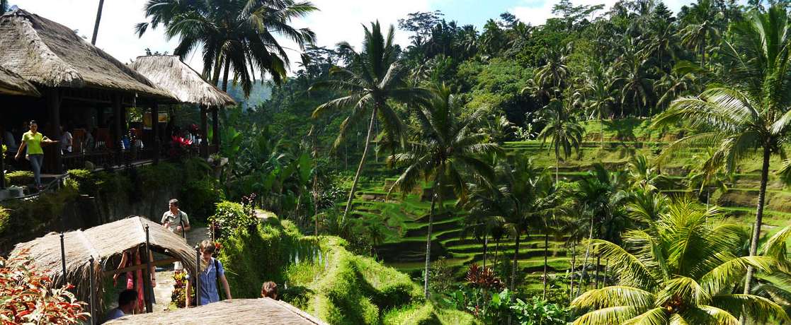 ���߂Ẵo�����ό��ɂ������߁I�J�[�`���[�^�[�������f���R�[�X