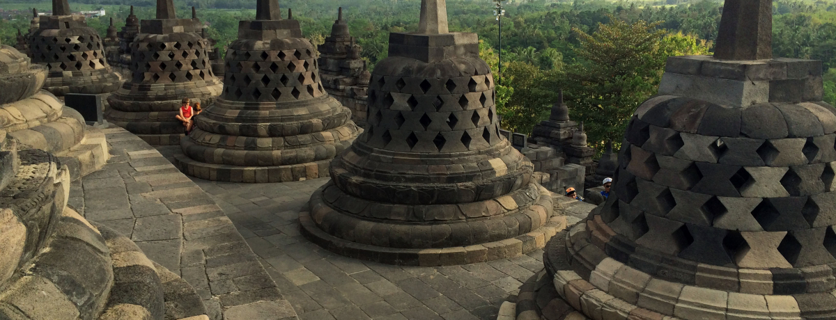 WOWJ^1όfR[XI2̐EY𖞋i