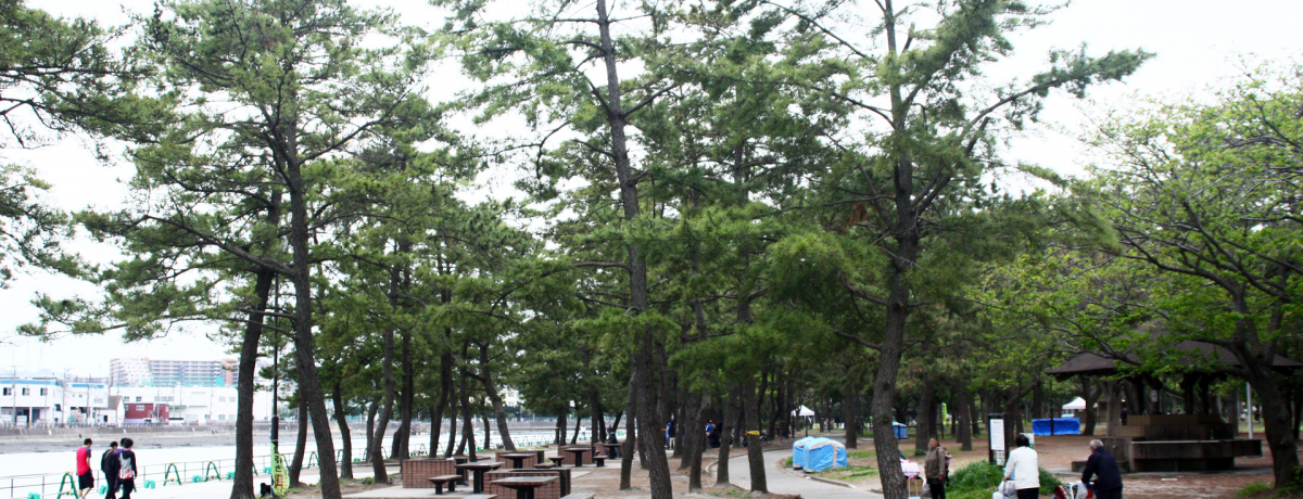 lE쓇Ńo[xL[ALvAGWC!!