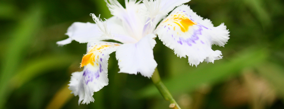 lEOkŉԂƔpƌz!! [키߂3̃|Cg