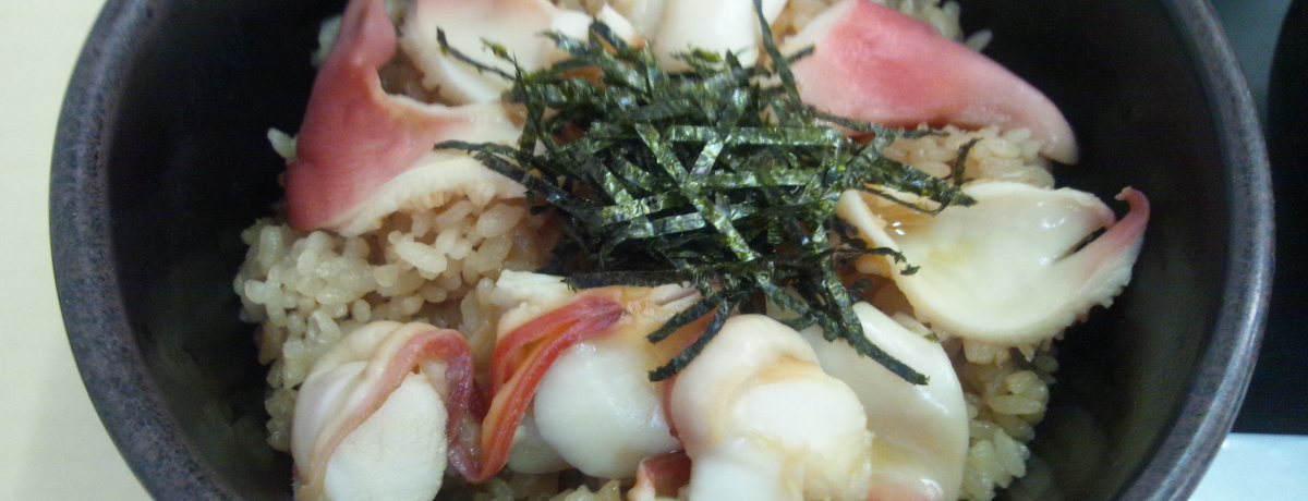 ÔgQ畜zbLт̖XInsYuv