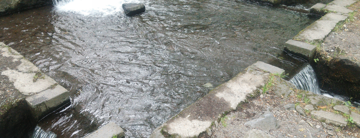 ��l�̒m�b�I�O���ǂ��̎����{�݁E�R���u�O����N���v�̖���