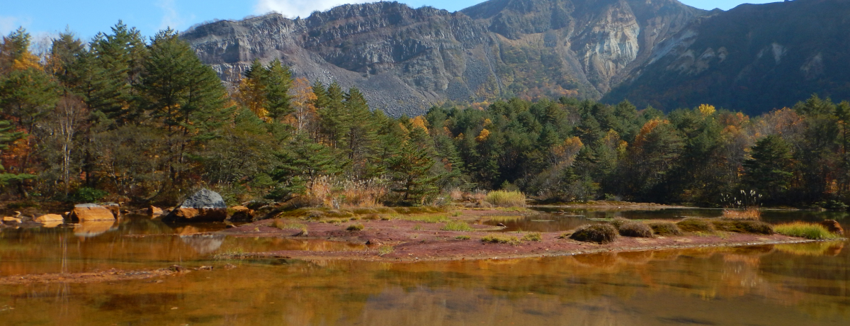 �u���^�����ɂ��o��I�����E�֒�R�o�R�́u�����v�ő啬�΍��Ղ�����