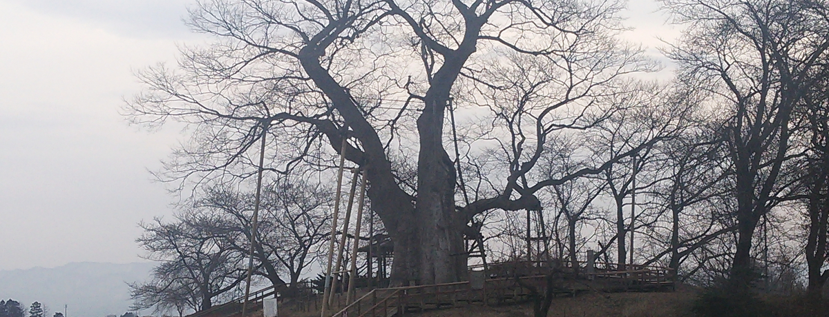 ɏI̐ՁA㐙̋u_wijՁvÎᏼs