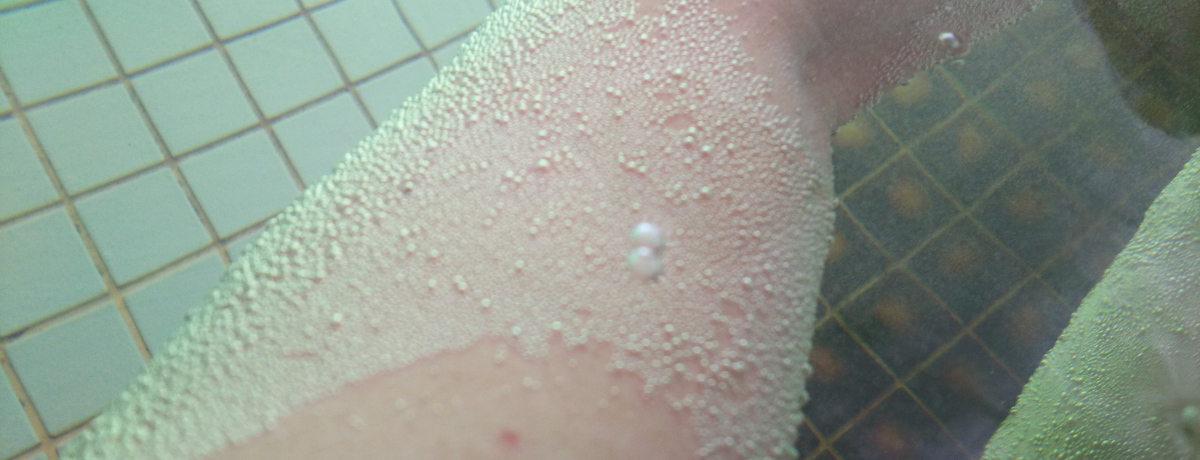 R̋ɏ㓒IxmR]߂ق̖AtuB舮v