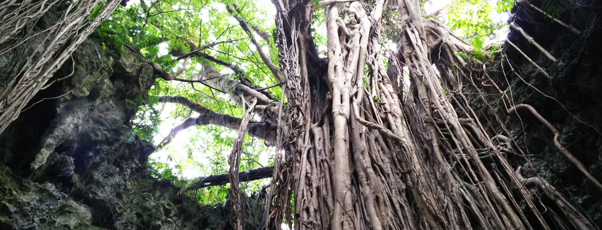 ̃p[X|bguKK[̒JvŌÑォ̗jƑ厩Rwڂ