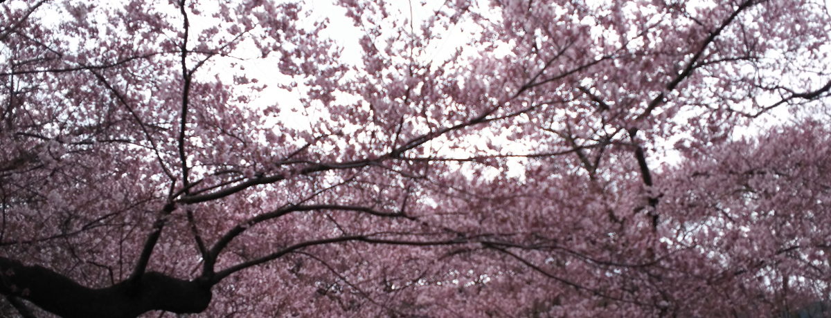 ̍𒷖E隬ŁI͐h卪̏`ł