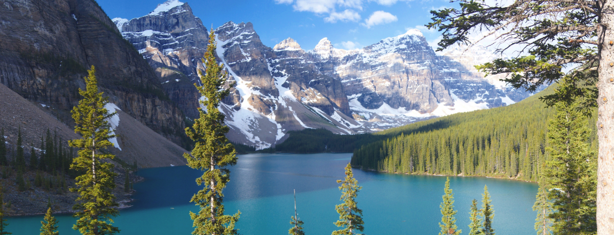 JifBAEbL[ɕ΂̂ƂP5̌΂ŐS􂨂I