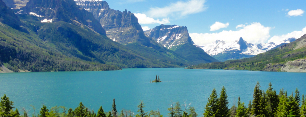 �k�đ厩�R�̏W�听�������ɁI�O���C�V���[���E�H�[�^�[�g����������