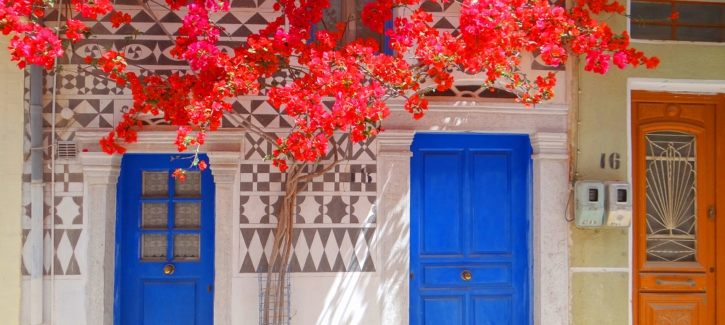 �M���V�� �q�I�X�� �` ���}�X�e�B�n�����A�􉽊w�͗l�̑� �s���M