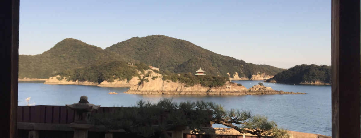 �R�̏�̃|�j���◬�����S���ł�������݁I�L���u�ۂ̉Y�v�Ŏ��̗���������悤